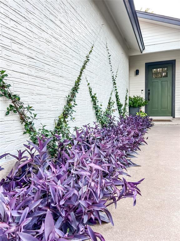 Foto principal - 9908 Brasher Dr