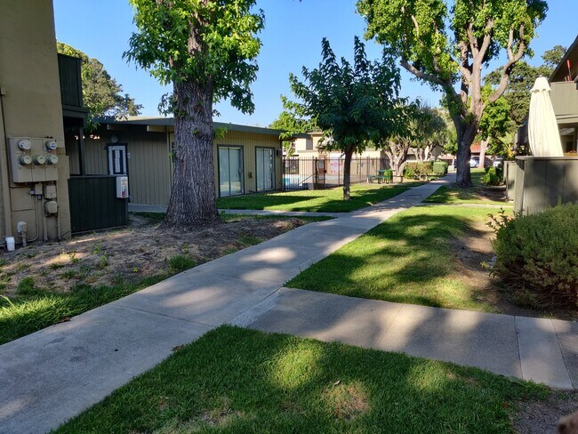 Pathway to the building. - 156 Roxanne Ct