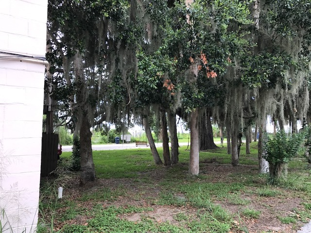 Building Photo - Lake Apopka Villas