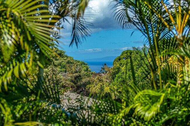 Foto del edificio - Brand New Tropical Private Maui Meadows Cottage Ocean View and Pool - Utilities Included