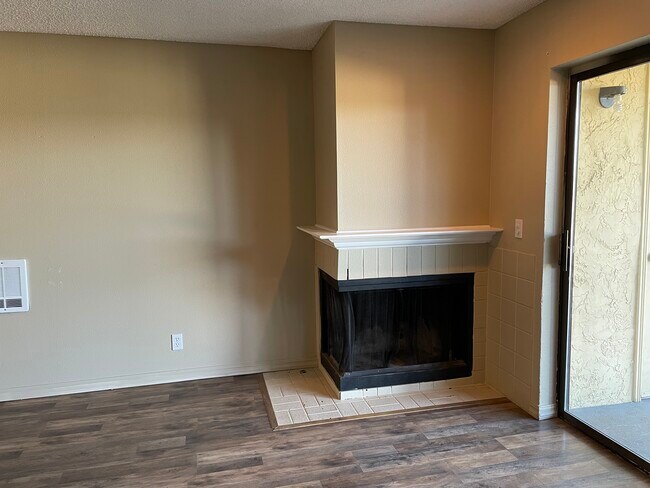 Fireplace - 1755 W Sunn Fjord Ln