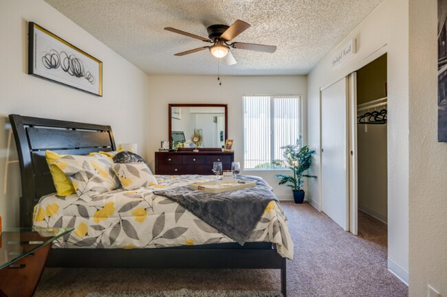 Foto del interior - Sahara and Playa Palms