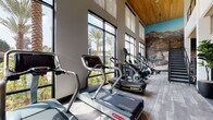 Located at 4949 Baltimore Dr in La Mesa, California, this contemporary fitness center is designed to deliver a premium workout experience. The space is defined by soaring double-height ceilings clad in warm wood paneling, which contrast elegantly against crisp white walls and sleek, dark-framed floor-to-ceiling windows. These expansive windows flood the interior with abundant natural light and offer sweeping views of palm trees and the outdoor pool area, creating an energizing atmosphere for exercise.

A row of modern cardio machines — including treadmills, ellipticals, StairMasters, and rowing machines — lines the window-facing wall, allowing users to enjoy the outdoor scenery during their workouts. A dramatic large-scale landscape mural anchors one end of the cardio zone, adding a bold visual focal point to the space.

The strength training area features a well-appointed free weights section with a full dumbbell rack, bench press stations, and cable machines, all reflected in large wall-to-wall mirrors that enhance the sense of openness. A staircase with sleek metal railings leads to an upper mezzanine level, providing additional functional space. The flooring transitions between durable carpet tile and hardwood-style material, balancing comfort and practicality throughout this well-equipped facility.