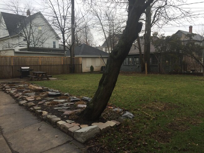 Backyard - 773 Richmond Ave