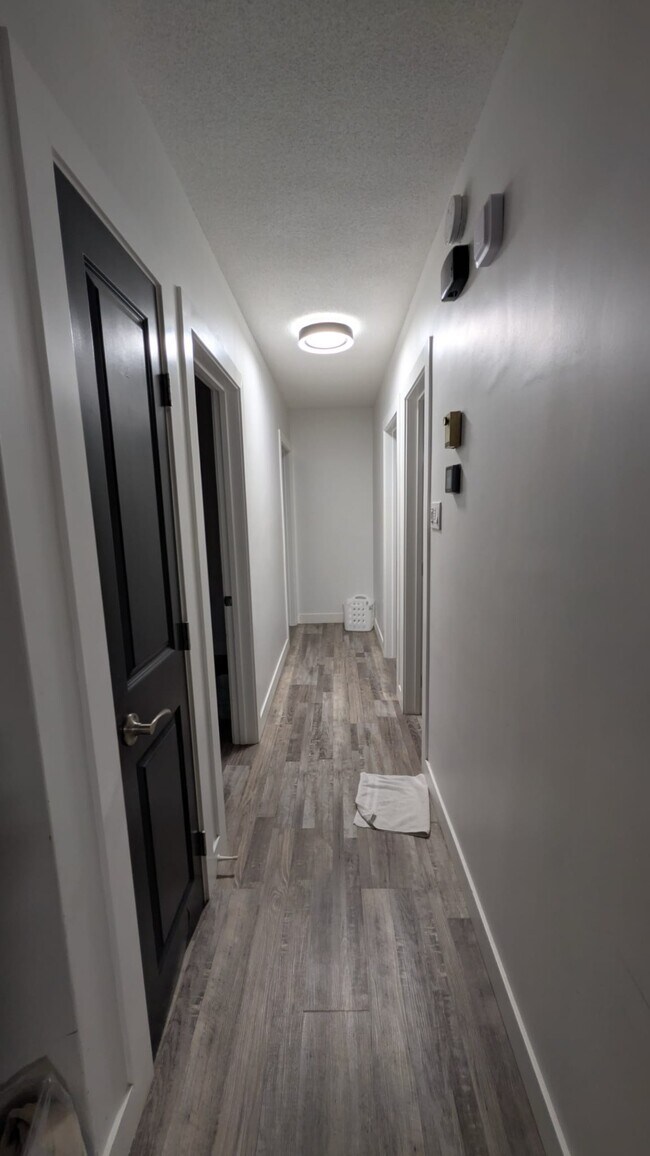 Photo du bâtiment - 14 Rue St Pierre Street