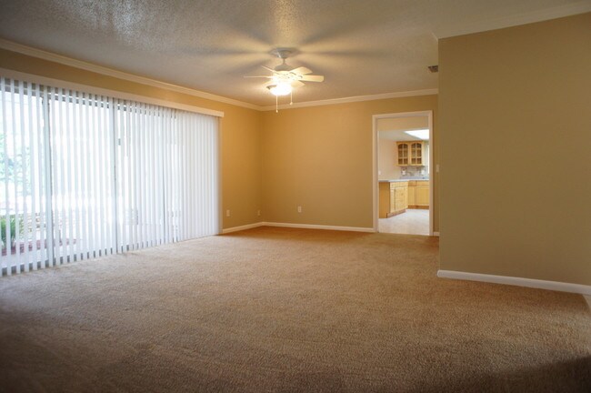 Building Photo - 1216 Terra Mar Dr
