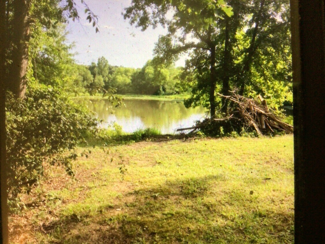 Primary Photo - 5333 Charlotte Hwy