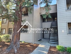 Building Photo - 3715 Tallyho Dr