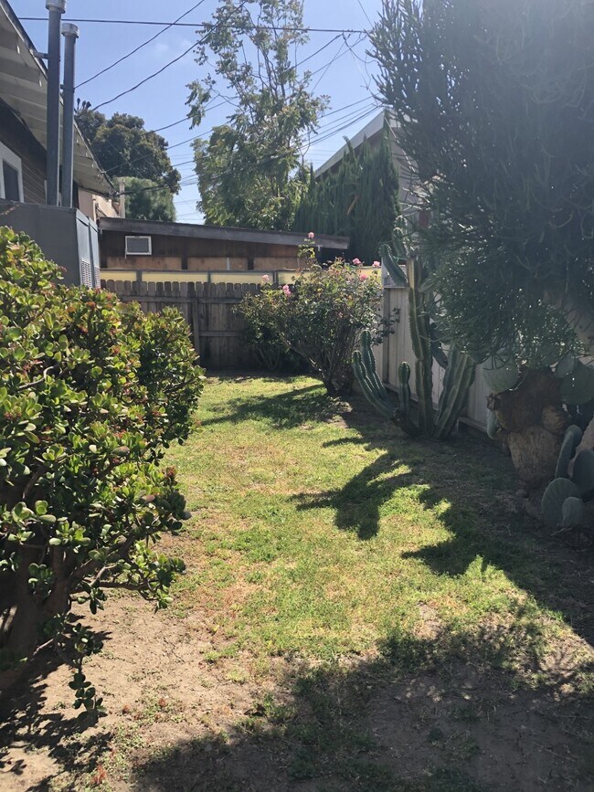 Backyard - 10117 Braddock Dr