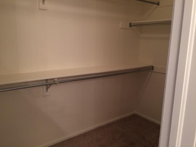 Foto del edificio - 3 Bedroom 2 bath in Highlands Ranch
