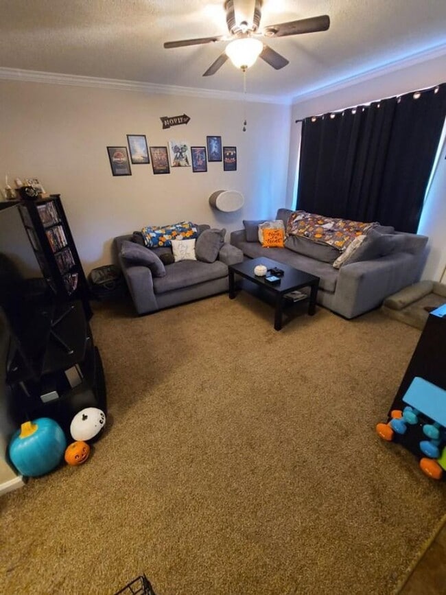 Foto del edificio - 3 Bedroom Plain Local Ranch