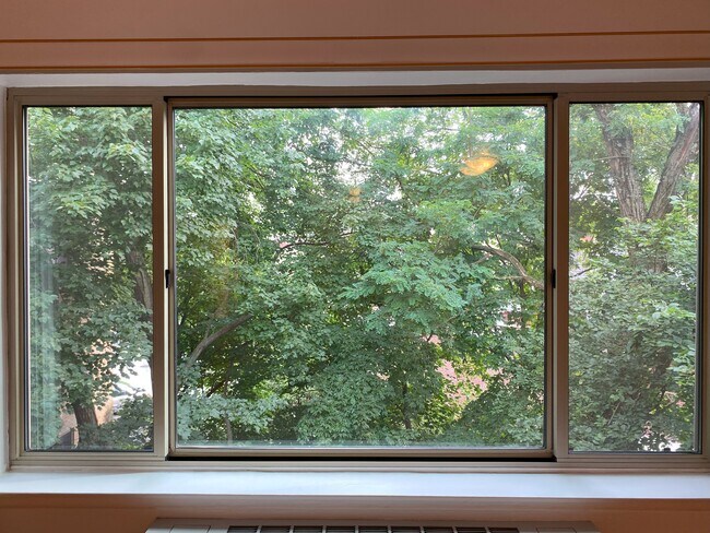 Vista desde la sala de estar - 2755 Ordway St NW