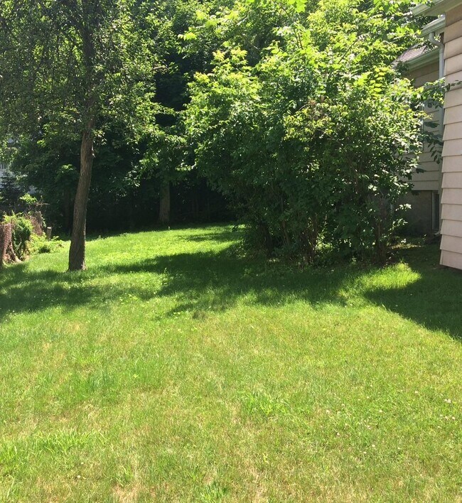 Lawn - 419 Lebanon St