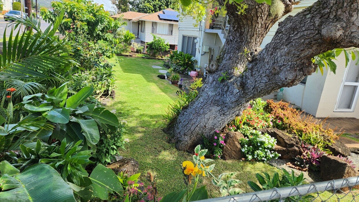 Primary Photo - 3bdr/1 bath - Upper Liliha near Wyllie St ...