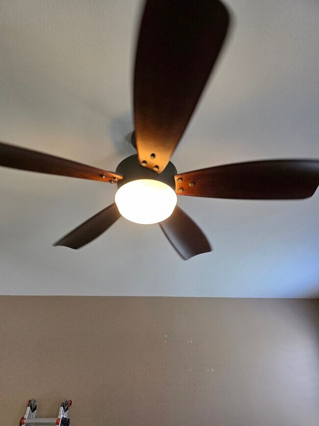 Building Photo - 713 Presscott St