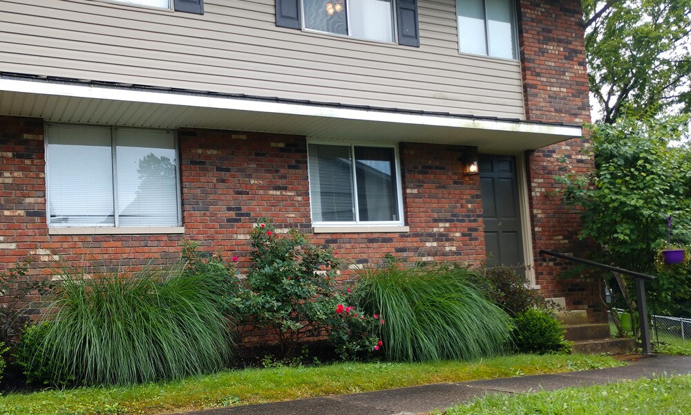 Townhouse upstairs and downstairs - 12 Lynwood Ter