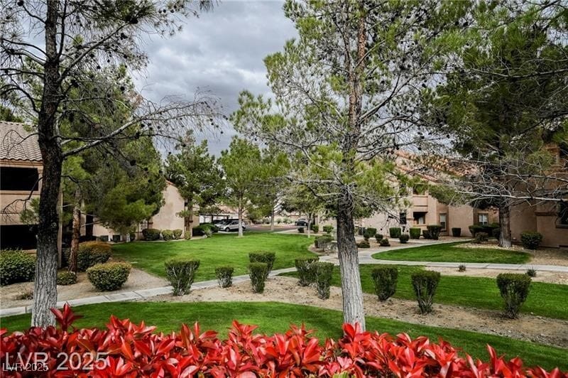 Primary Photo - 1150 N Buffalo Dr