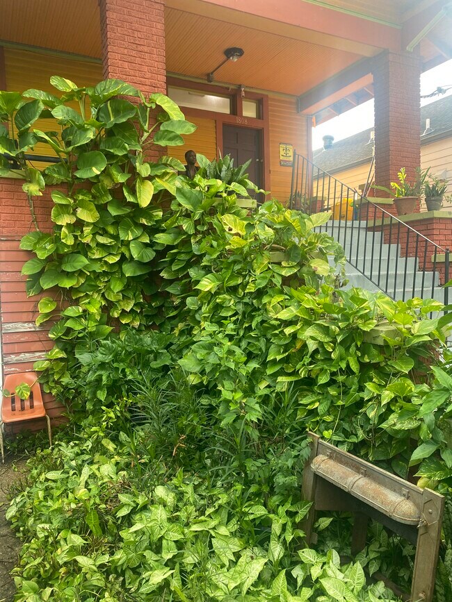 Foto del edificio - 1808 Elysian Fields Ave