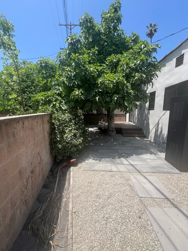 Back yard - 2104 Laverna Ave