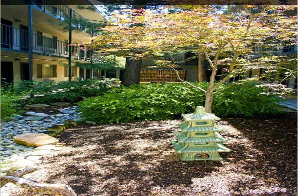 Courtyard - Harper House Apartments