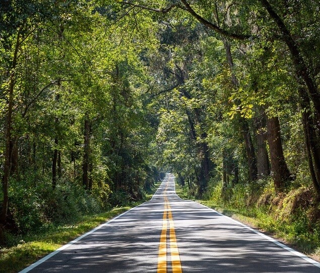 The scenic Miccosukee Canopy Greenway