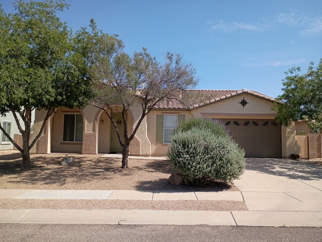 Building Photo - 4815 E Silverpuffs Way
