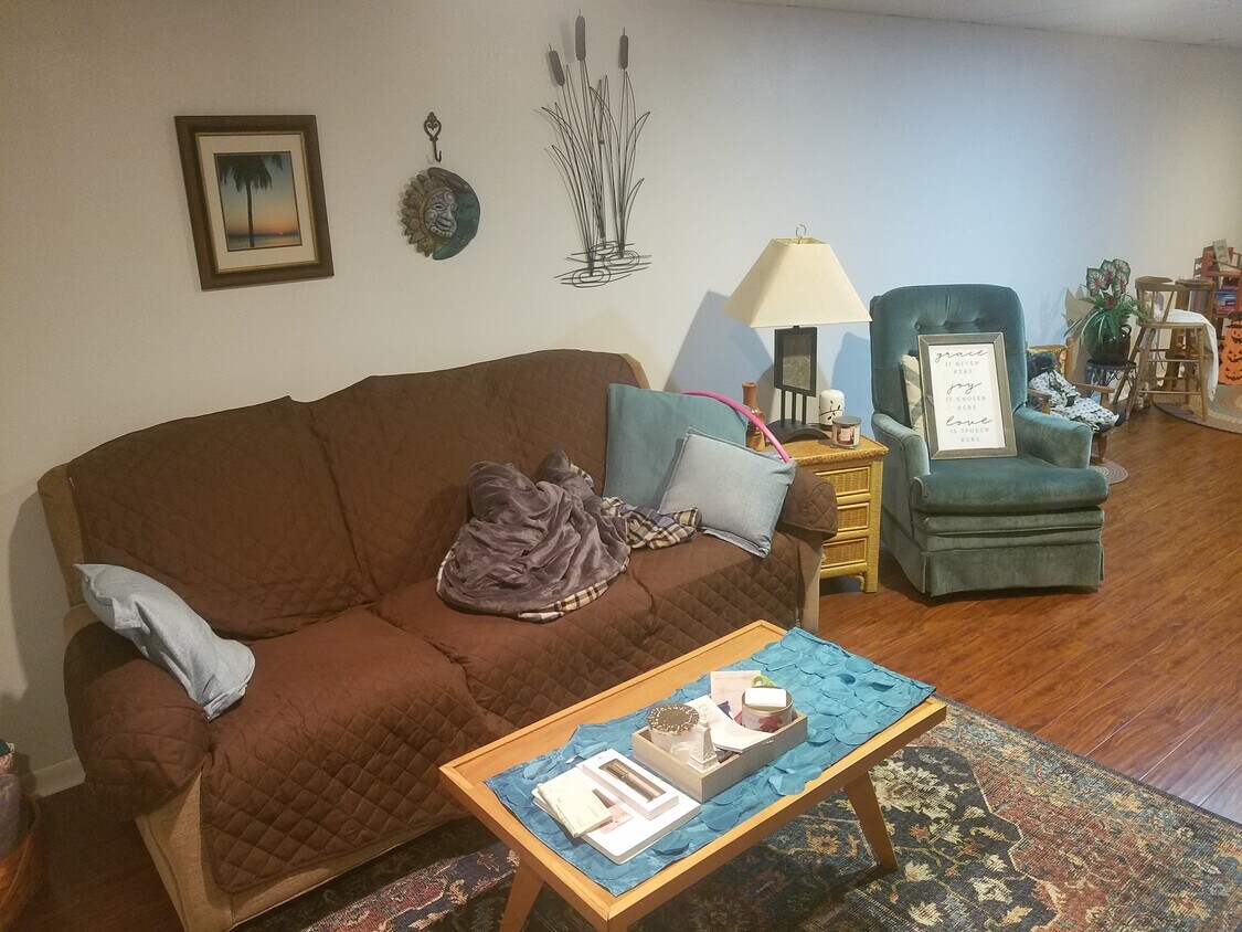 Part of living room - 505 Nicholas Dr