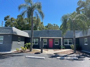 Building Photo - 783 San Christopher Dr