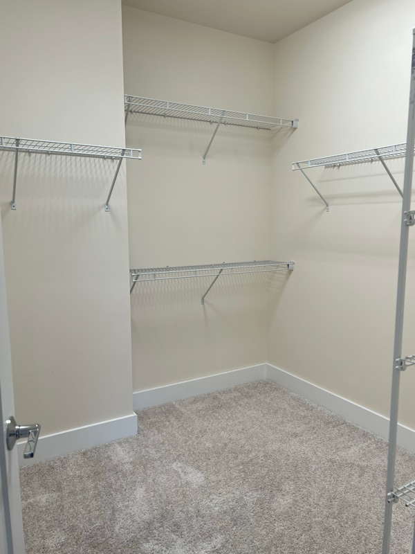 Building Photo - 3822 Sky Haven Dr