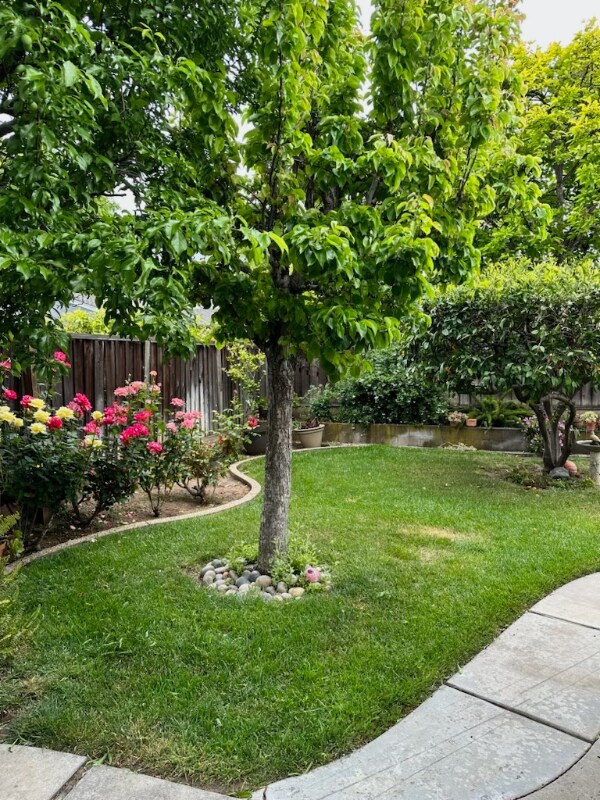 4289 Mountcastle Way, San Jose, CA 95136 House Rental in San Jose, CA