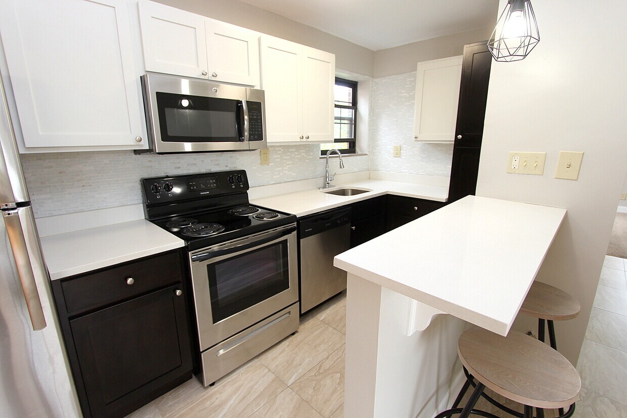 Shadyside Apartments Apartments in Pittsburgh, PA