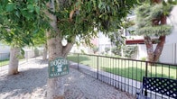 This outdoor doggie walk area is a dedicated pet-friendly space thoughtfully integrated into the grounds of a multi-building residential community. The area is surfaced with light-colored gravel, providing a practical, low-maintenance ground cover well-suited for pet use. Mature trees with broad canopies are prominently featured throughout the space, offering generous natural shade during sunny days and contributing to a comfortable, park-like atmosphere.

The area is enclosed by black wrought iron fencing, creating a clearly defined and secure boundary while maintaining open sightlines to the surrounding landscape. A gated entry point allows convenient access. Metal benches are positioned within the space, providing a comfortable spot for residents to sit while accompanying their pets.

Beyond the fenced perimeter, well-maintained green lawns, manicured shrubs, and tall palm trees enhance the overall landscaping of the community. A swimming pool is visible nearby, further reflecting the amenity-rich nature of the property. The multi-story residential buildings frame the background, reinforcing the communal setting. Overall, the space is a practical and pleasant outdoor amenity designed with both pets and their owners in mind.