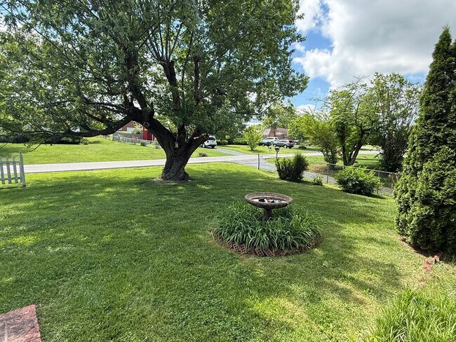 Foto del edificio - Beautiful 3 bedroom- North Johnson City