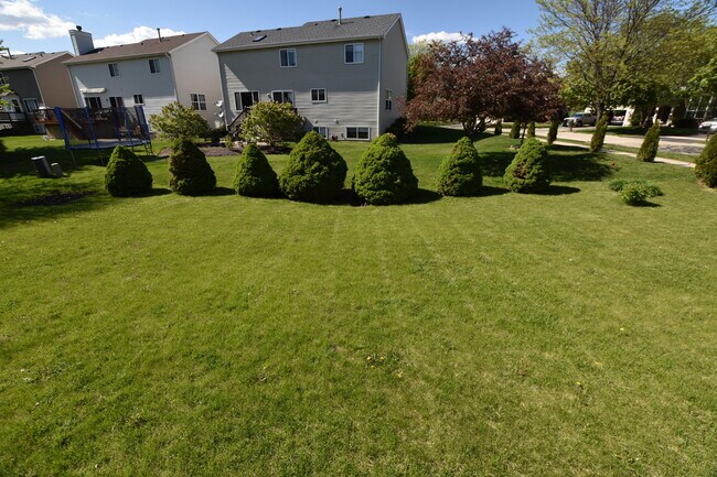 Foto del edificio - 2464 Blue Spruce Ln