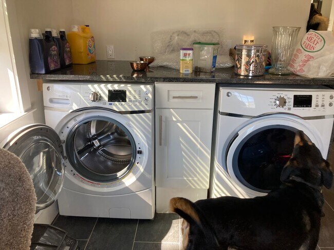 Foto del edificio - 16 Dorothy St