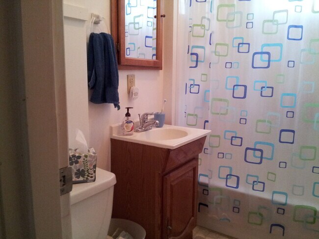 1st floor bath - 2641 Fremont Ave S