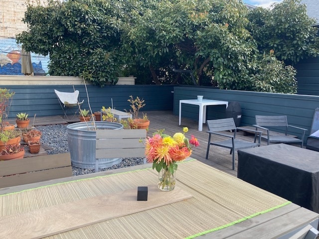 Roof Deck - plenty of seating, plants - 922 Capp St