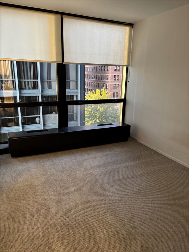 Foto del edificio - 910 N Lake Shore Dr