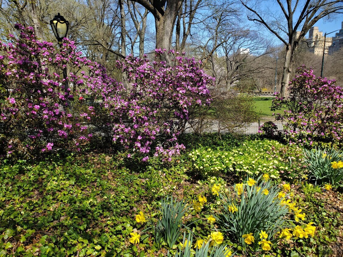 Primary Photo - 200 W 58th St