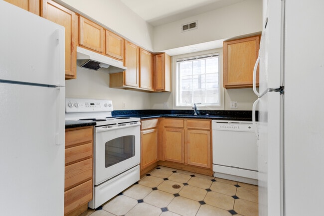 Unidad D - Forest Edge