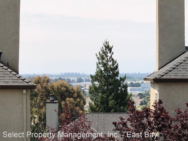 Foto del edificio - 1 br, 1 bath House - 725 Essex Ct #294