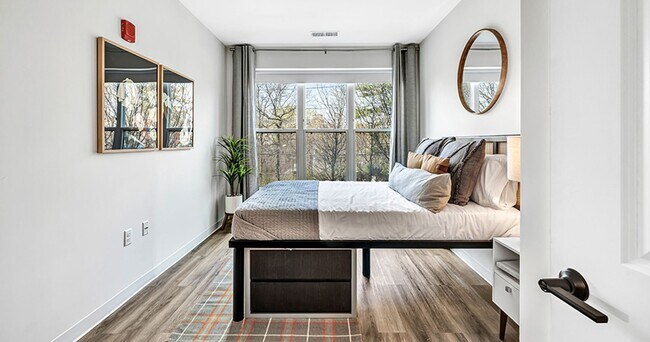 Interior Photo - Olive & Wooster