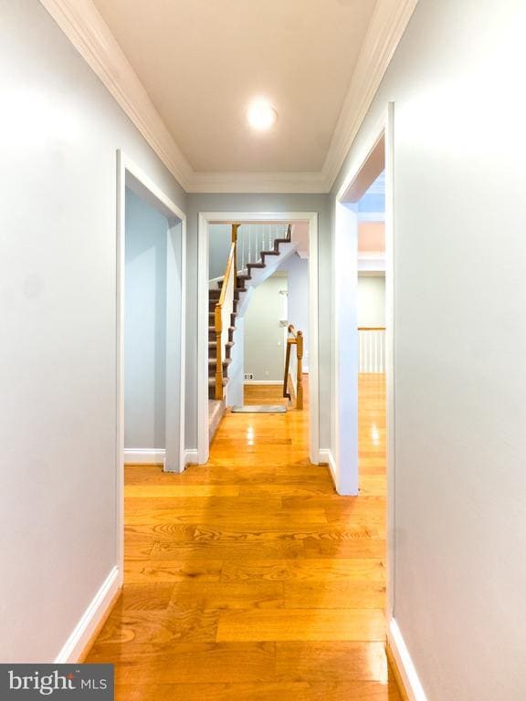 Building Photo - 2419 Ansdel Ct