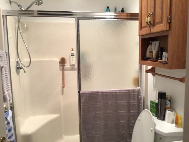 Master Shower - 1510 Juarez Pl
