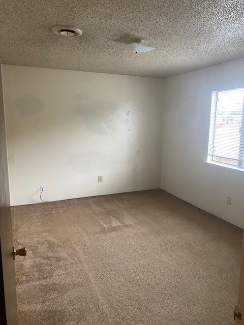 Building Photo - 3057 Zanetta Dr