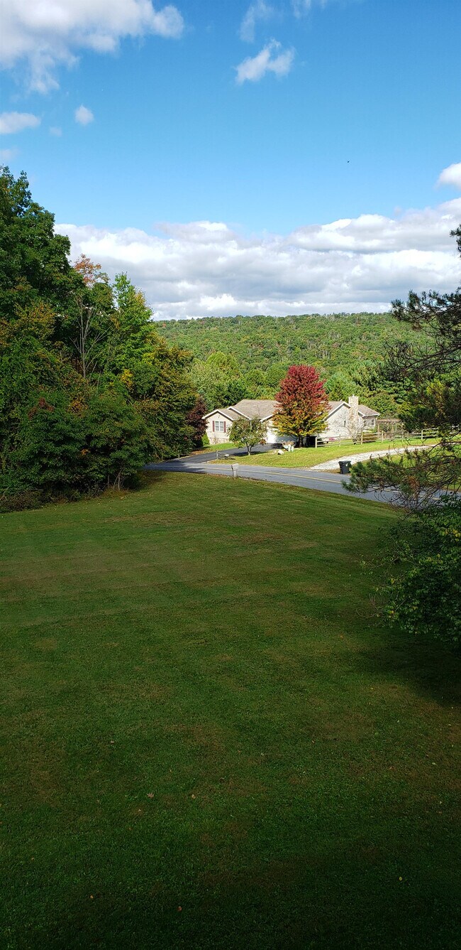 Foto del edificio - 65 Newman Rd