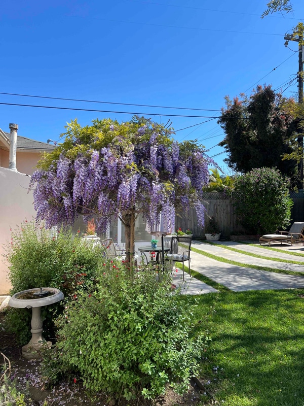 Foto del edificio - 2763 Burkshire Ave