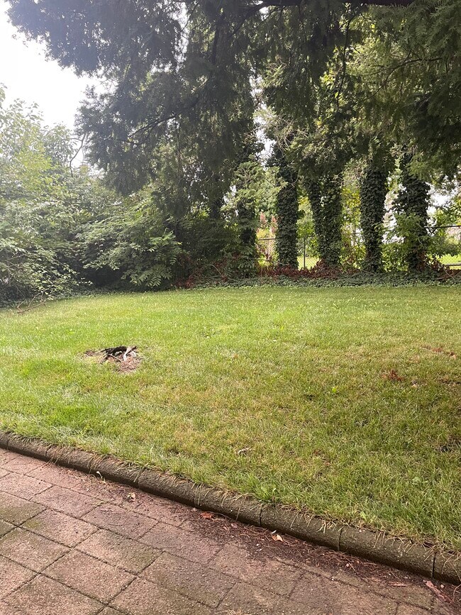 Building Photo - 181 Prospect St