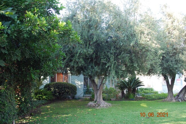Building Photo - 743 Arcadia Ave