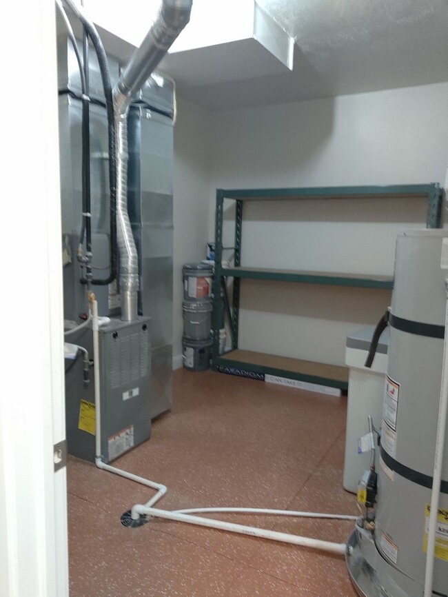 Building Photo - Brand New Daylight Basement Apt.